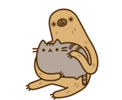 Sloth Cat